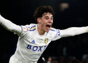 三亿体育体育网页版-青年球员获得英超头号射手称号