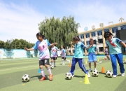 三亿体育体育竞技-关于埋头苦练逐梦争胜利，悲欢离合在球场的信息