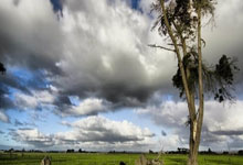 三亿体育体育网址-克罗地亚队如何应对波兰队的挑战？