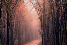 三亿体育体育地址-比赛胜负难分，球场上的竞争异常激烈——探寻体育魅力背后的无尽激情