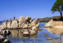 三亿体育体育登录入口-切尔西球队初露冠军相，追梦之路