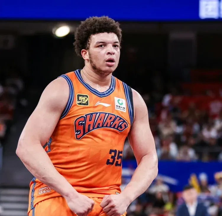 匈牙利队不甘示弱，闯荡险境的简单介绍